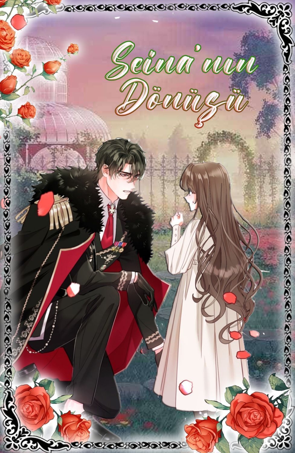seinanin-donusu-image